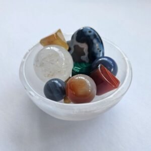 Dream Dish in Mixed Shapes - Image 4